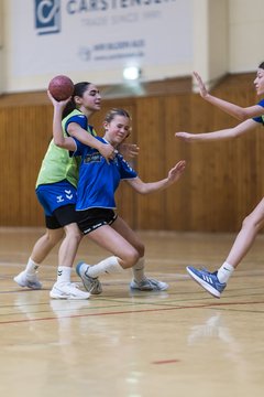 Bild 259 - wBJ TSV Ellerau - HSG Stoertal Hummeln : Ergebnis: 26:19